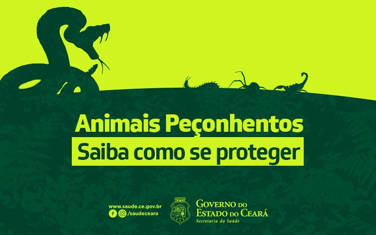 banner animais peçonhentos como se proteger